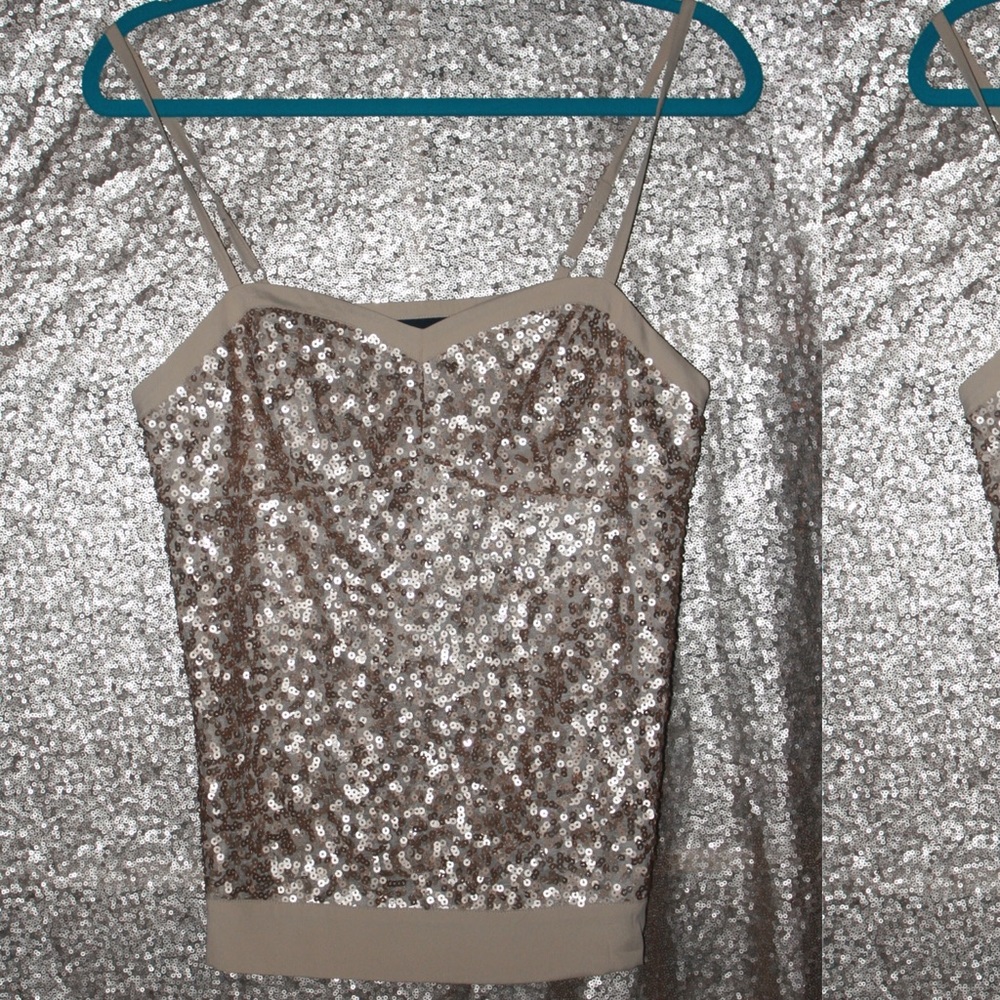 American Eagle Sequin Corset-Style Cami